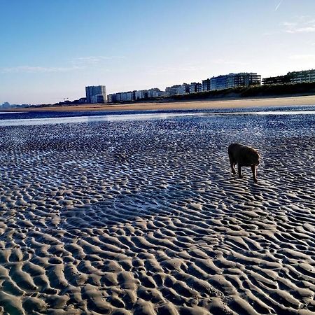 Hhvdk Aan Zee Oostduinkerke Exterior foto